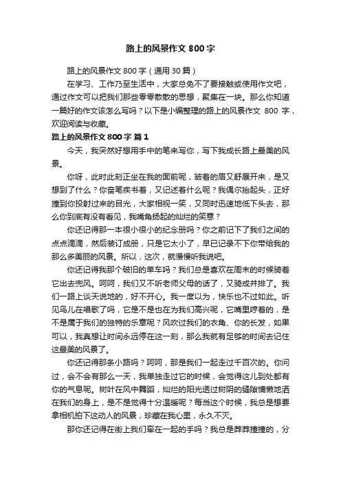 路上的风景作文800字
