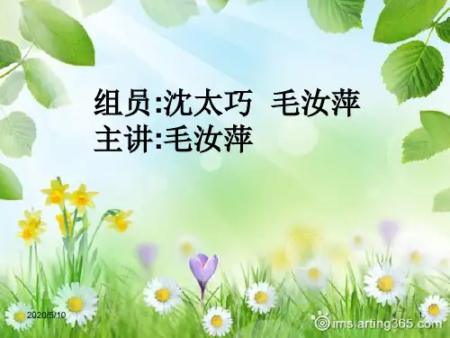 经颅磁刺激PPT课件