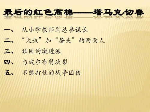 红色高棉ppt