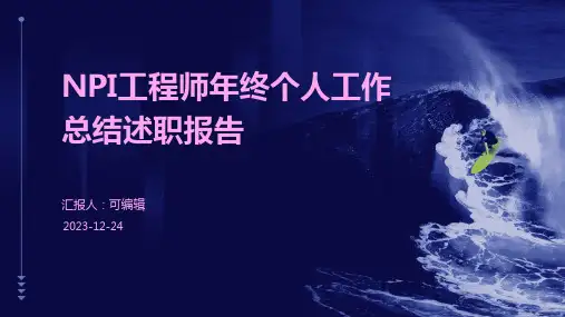 NPI工程师年终个人工作总结述职报告