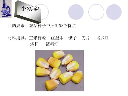 细胞膜和细胞壁ppt7 人教课标版最新优选公开课件