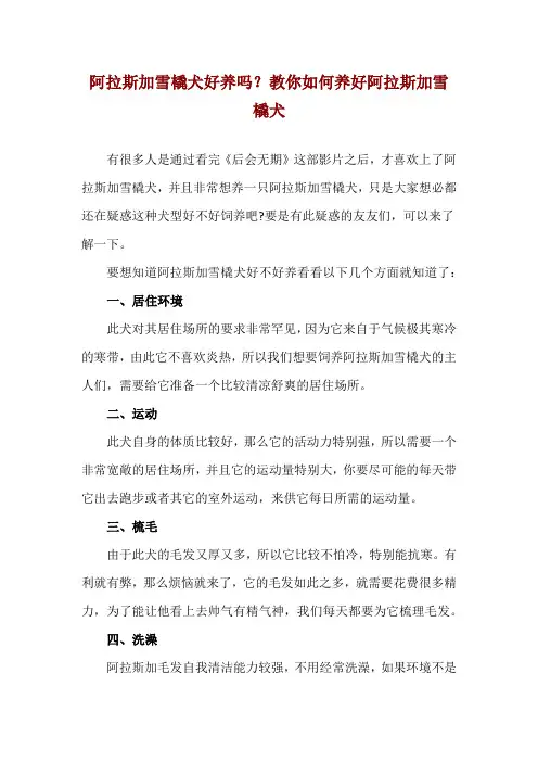 阿拉斯加雪橇犬好养吗？教你如何养好阿拉斯加雪橇犬