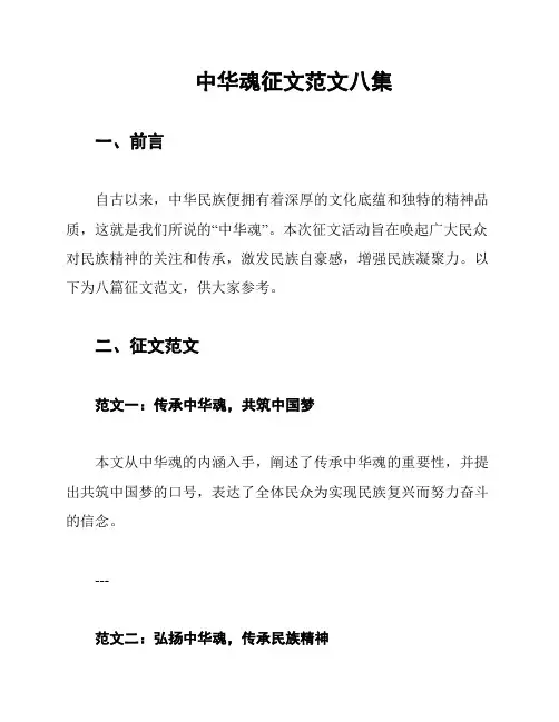 中华魂征文范文八集