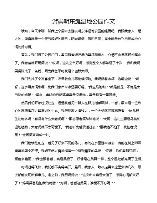 游崇明东滩湿地公园作文