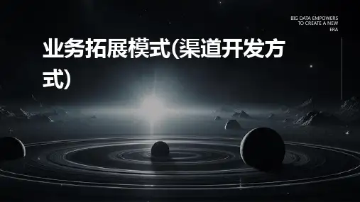 业务拓展模式(渠道开发方式)