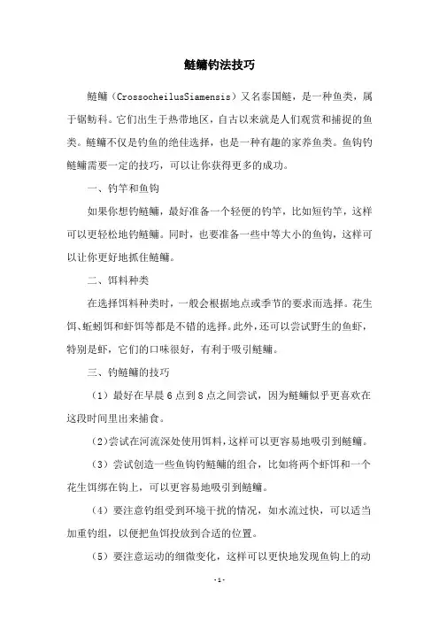 鲢鳙钓法技巧