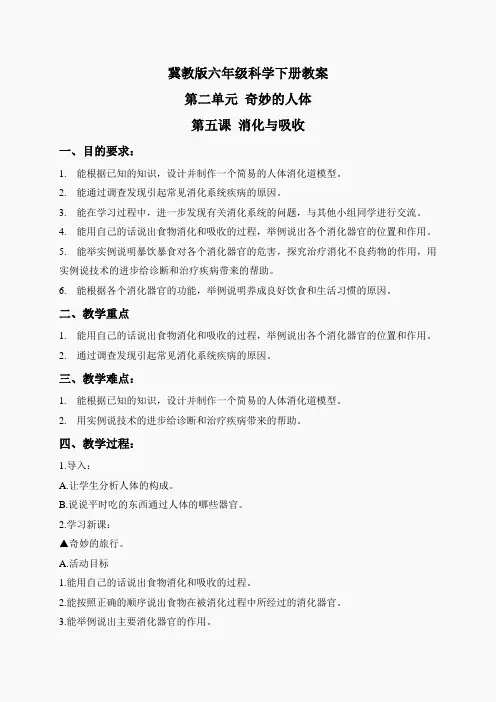冀教小学科学六下册《5消化与吸收》word教案 (2)