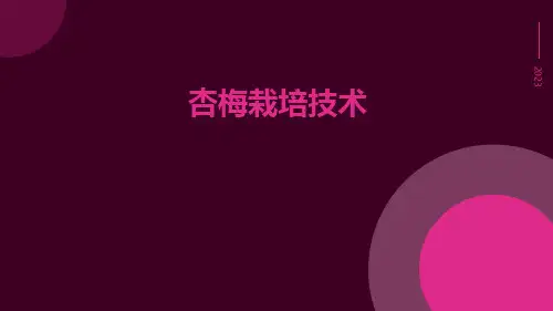 杏梅栽培技术