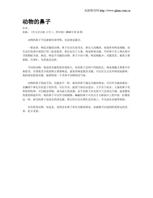 动物的鼻子