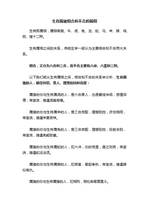 生肖属猪相合和不合的属相