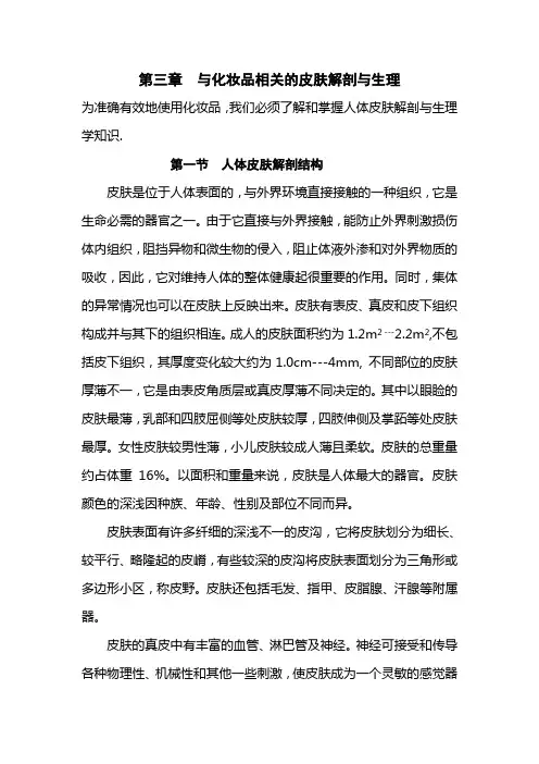 第三章 与化妆品相关的皮肤解剖与生理