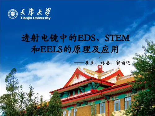 透射电镜中的EDS STEM和EELS的原理及应用-天津大学