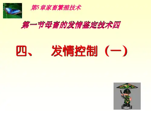 第5章第一节母畜的发情鉴定技术四(发情控制之诱导发情)
