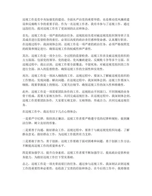 巡视工作阐述_心得体会