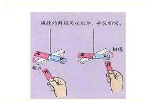 青岛版小学科学有趣的磁铁课件1