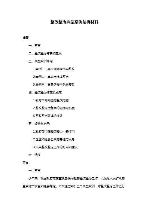 整改整治典型案例剖析材料