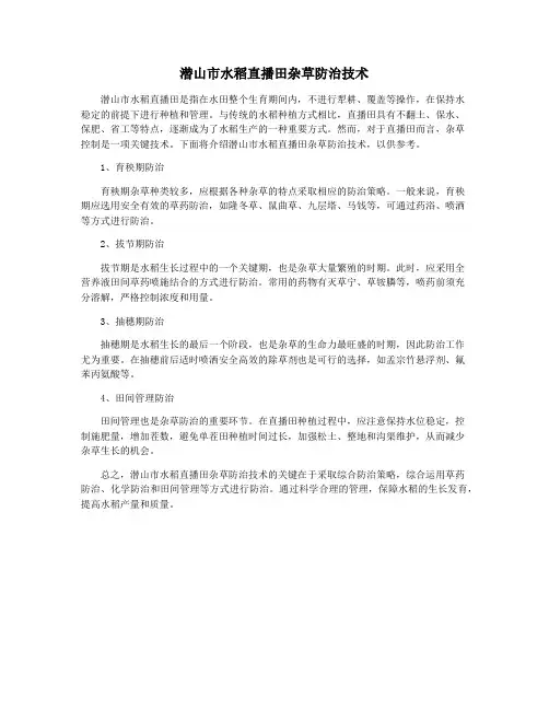 潜山市水稻直播田杂草防治技术
