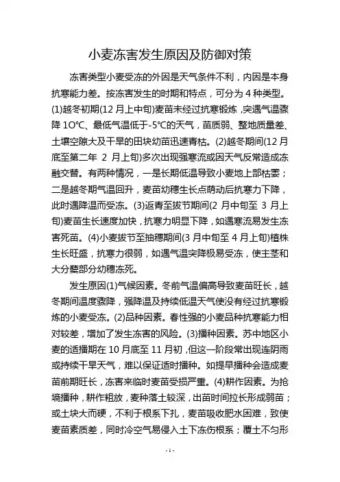 小麦冻害发生原因及防御对策