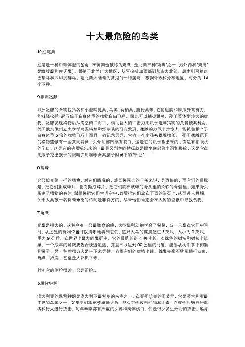 十大最危险的鸟类