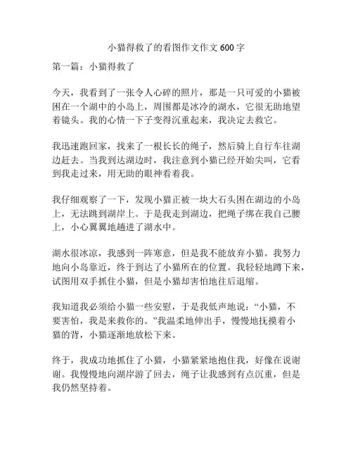 小猫得救了的看图作文作文600字