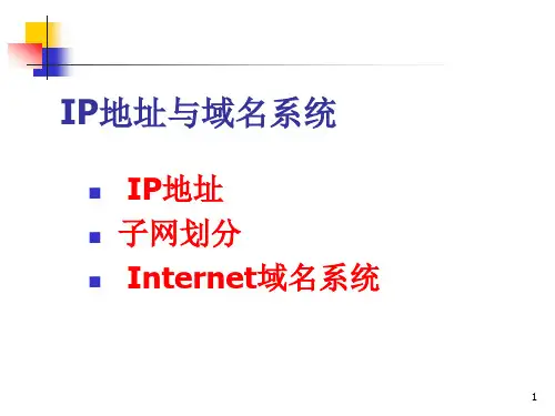IP地址