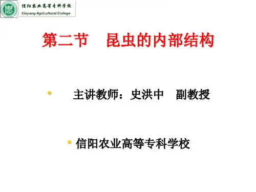 第二章 昆虫的内部结构和生理