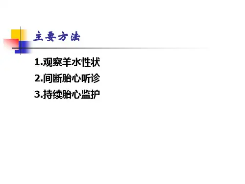 产时胎儿监护