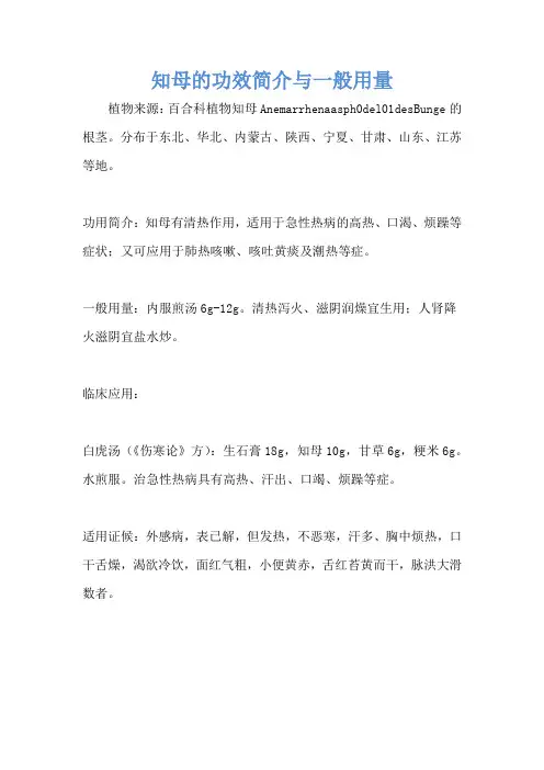 知母的功效简介与一般用量