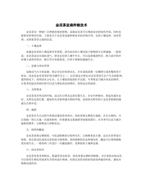 金花茶盆栽种植技术