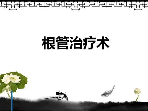 根管治疗术ppt课件
