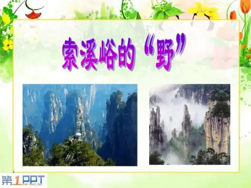 《索溪峪的“野”》PPT课件下载7 (共54张PPT)