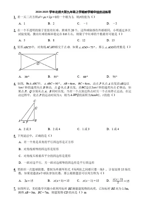 2024-2025学年北师大版九年级上学期数学期中培优训练卷