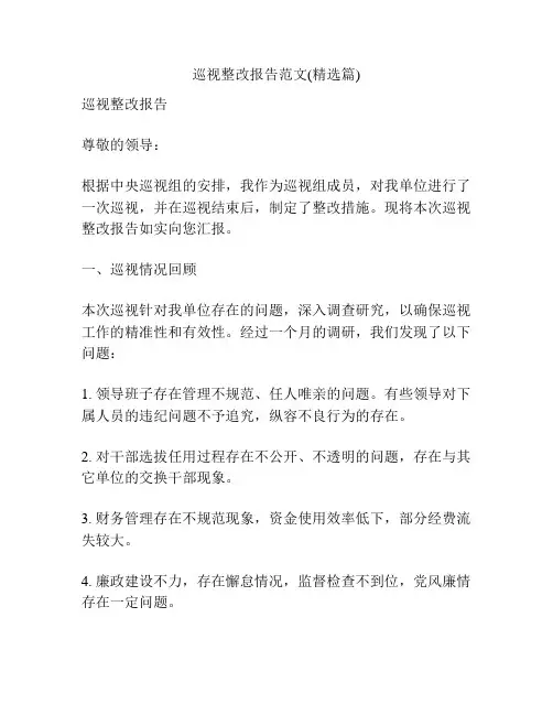 巡视整改报告范文(精选篇)
