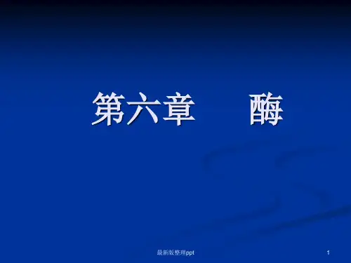 食品化学-酶ppt课件