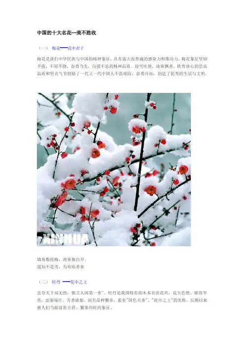 中国的十大名花--美不胜收