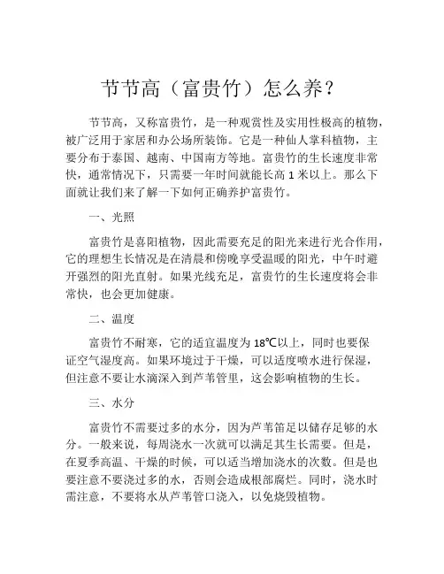 节节高(富贵竹)怎么养？