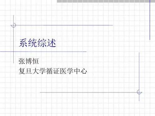 系统综述