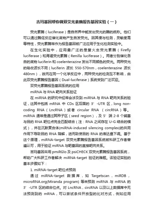 吉玛基因帮你做双荧光素酶报告基因实验（一）