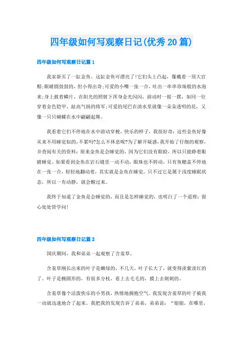四年级如何写观察日记(优秀20篇)