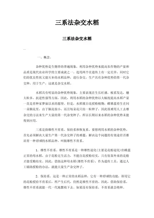 三系法杂交水稻
