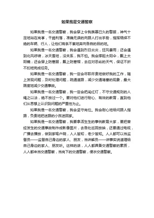 如果我是交通警察