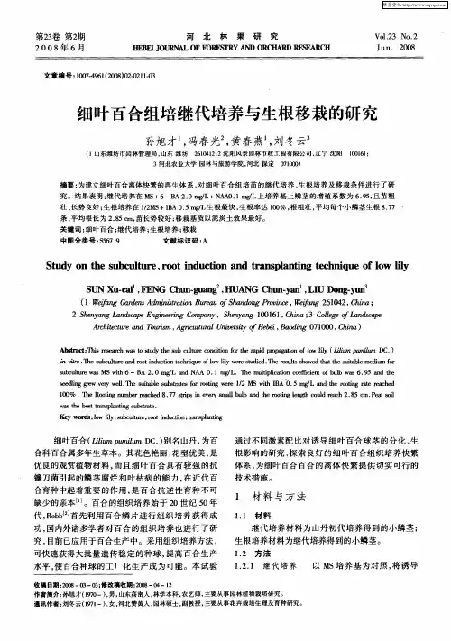 细叶百合组培继代培养与生根移栽的研究