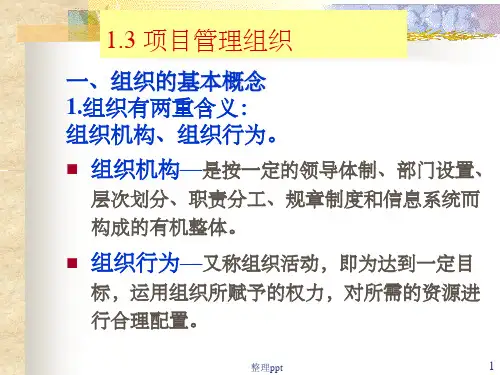 项目管理组织