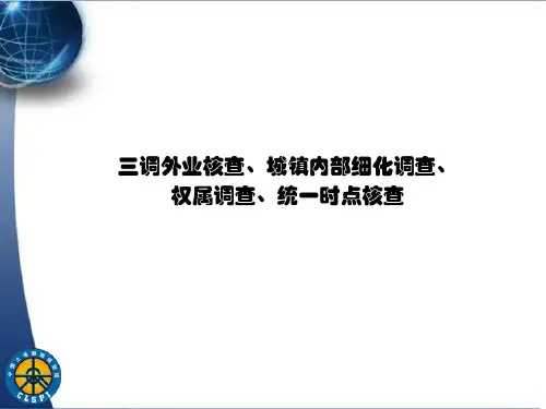 三调统一时点培训