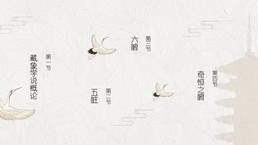 中医藏象学说ppt课件