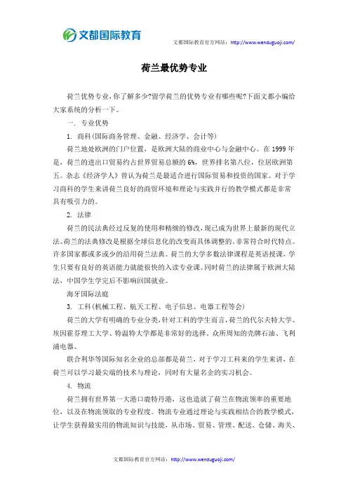 荷兰最优势专业