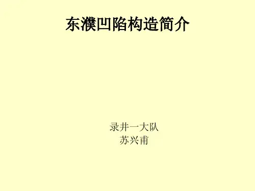 东濮凹陷构造简介.ppt