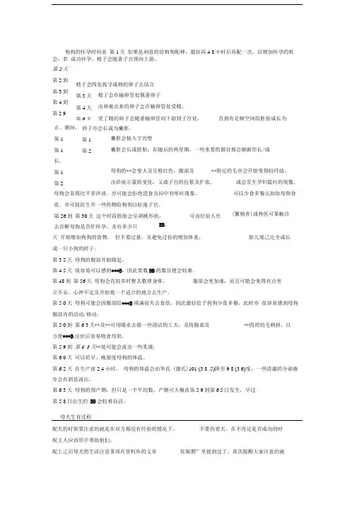 狗狗的怀孕时间表
