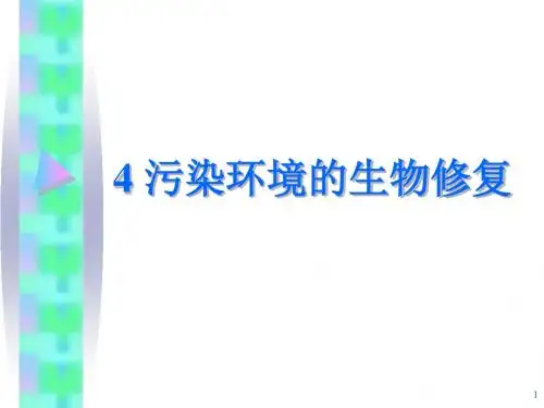 污染环境的生物修复(大学课件)
