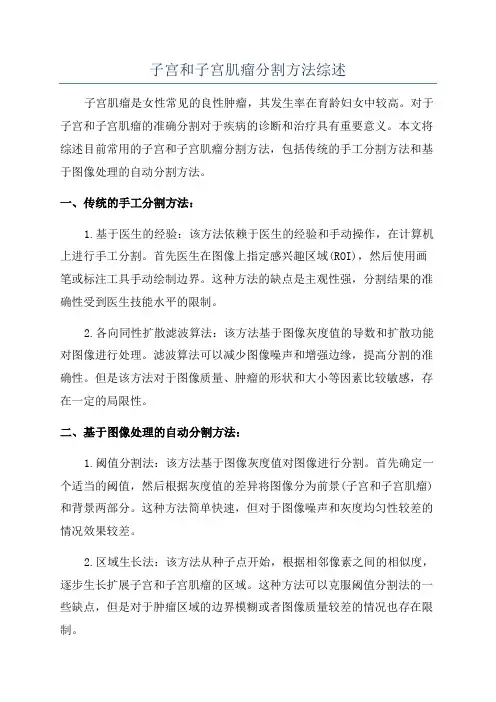 子宫和子宫肌瘤分割方法综述